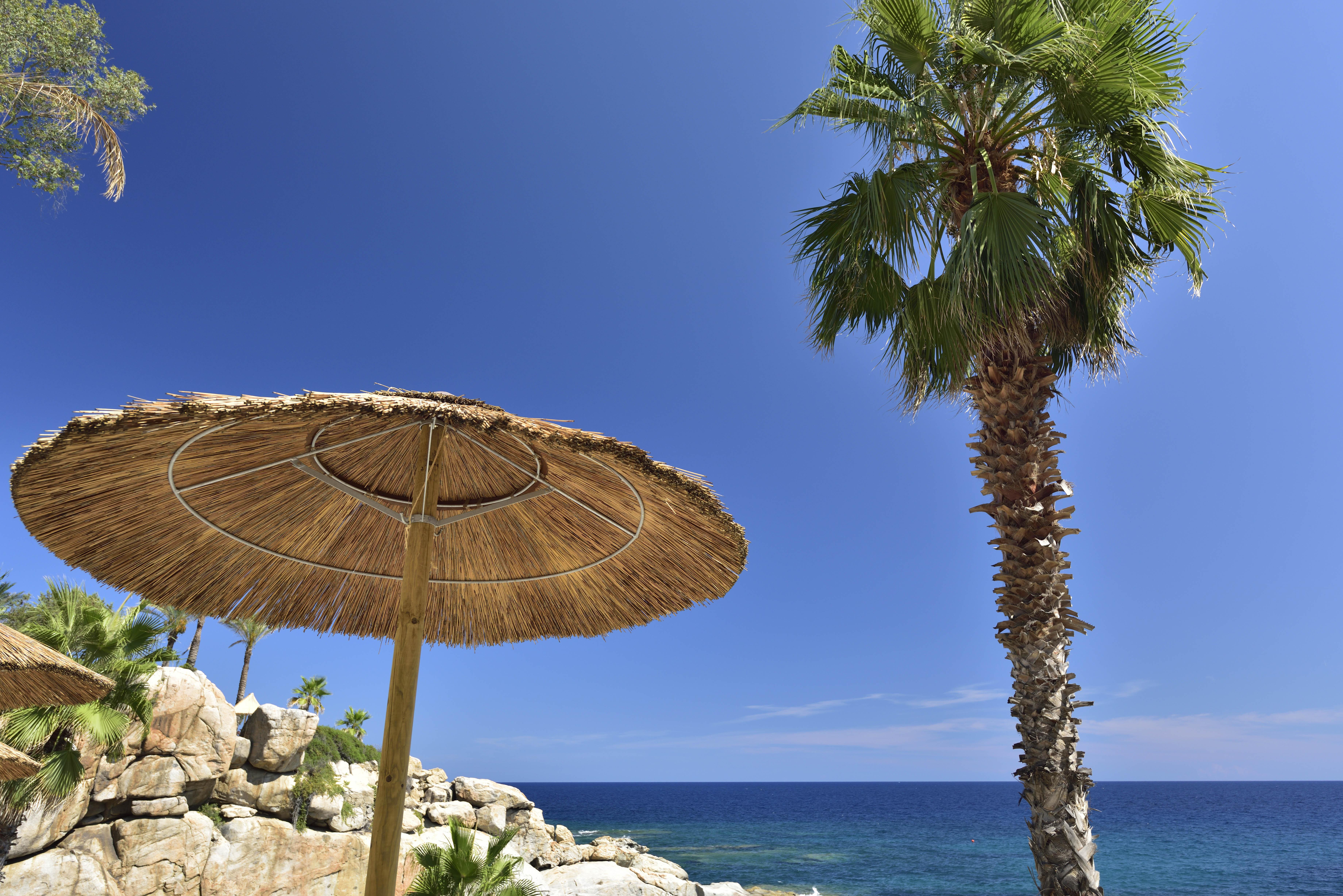 Park - Resort 4*